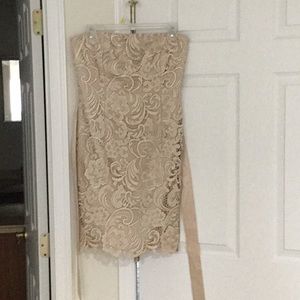 Adrianna Papell dress